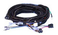 Wire harness EZGO